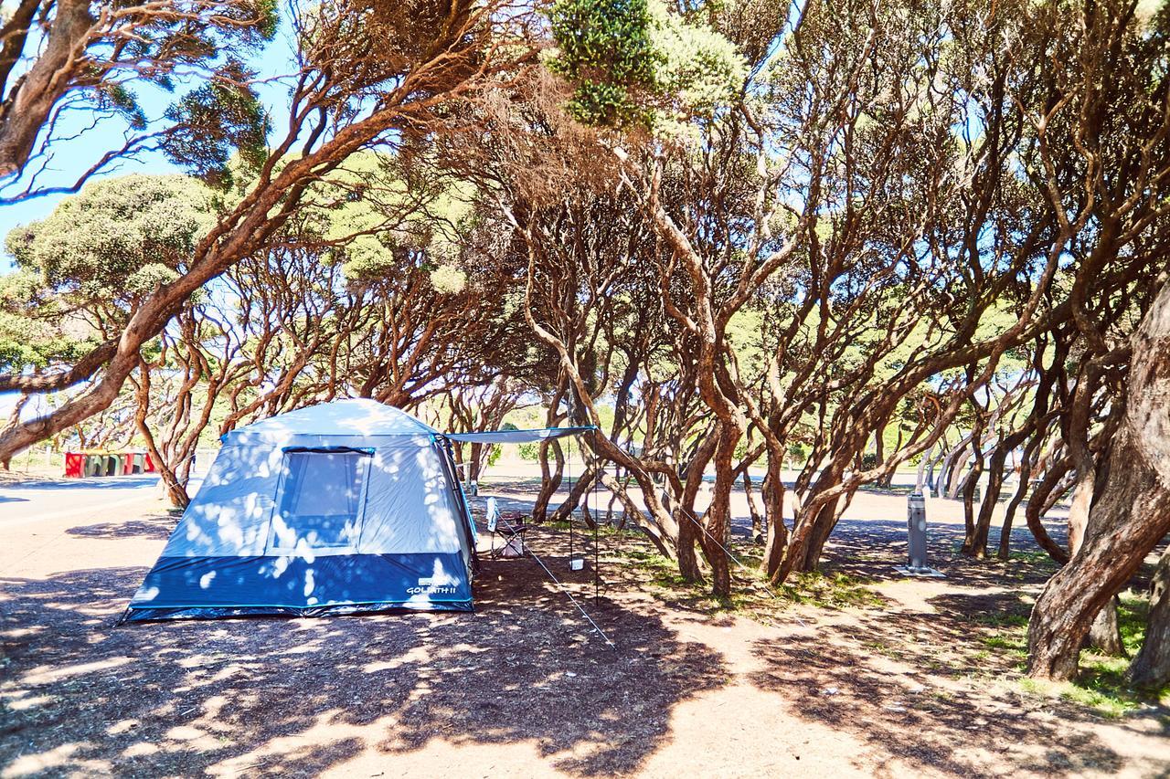 Anglesea Family Caravan Park Экстерьер фото