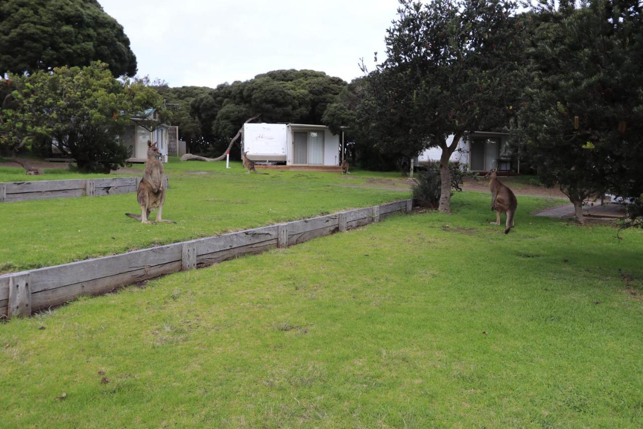 Anglesea Family Caravan Park Экстерьер фото